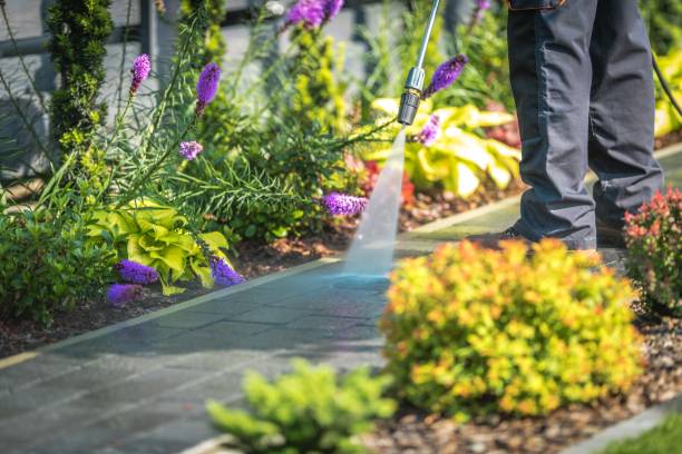 Best Dumpster Area Cleaning  in El Monte, CA